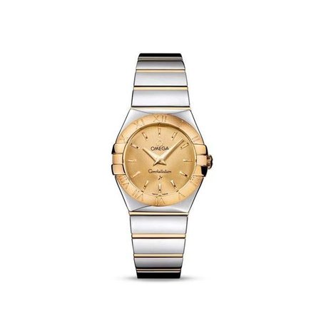 Constellation Stainless Steel and Gold Plated 27mm Quartz watch