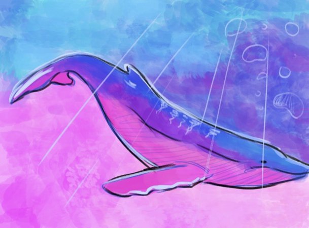 Bisexuwhale by @freshwaterbear on tumblr