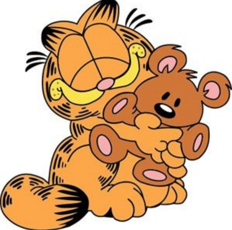 Garfield and pookie
