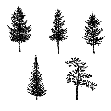 5 Pine Tree Silhouette Drawing (PNG Transparent) | OnlyGFX.com