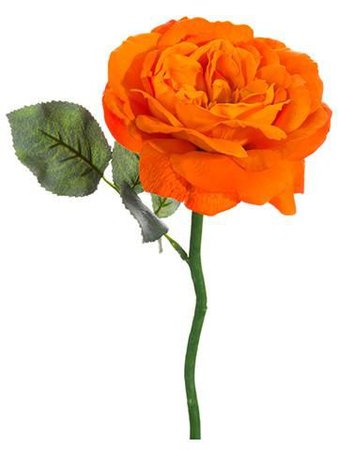 orange silk rose - Google Search