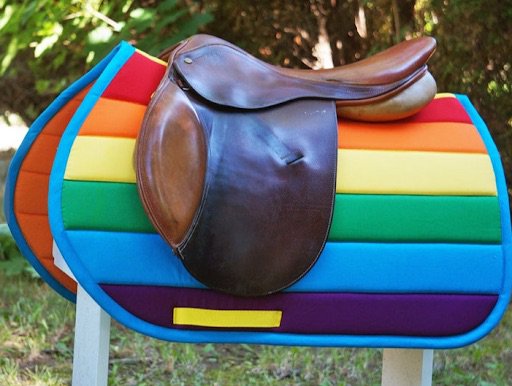 rainbow saddle pad