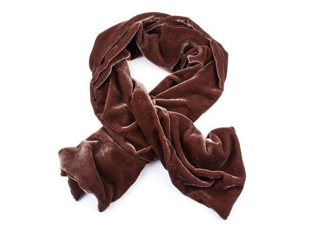 Silk velvet scarf  $128.00 annie bukhman