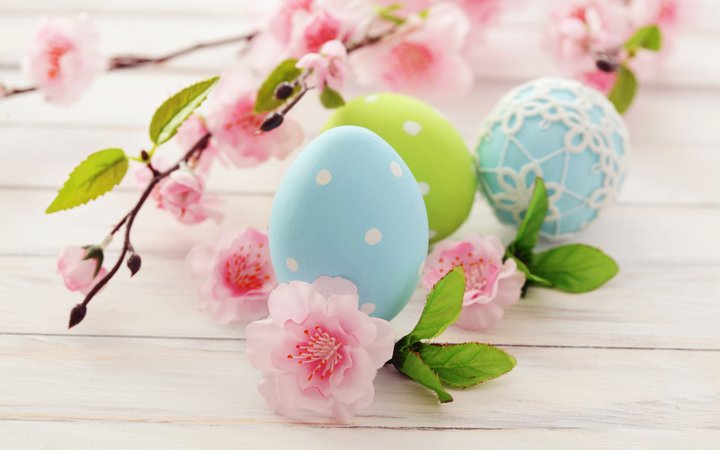 7462_Blue-color-eggs-Happy-Easter-Holiday-and-blossom-trees.jpg (2560×1600)