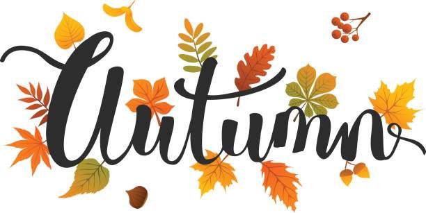 Fall Leaves Foliage Background Stock Illustration - Download Image Now - Autumn, Single Word, Text - iStock