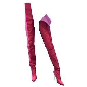 OVER THE KNEE BOOTS PNG