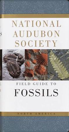 fossil book
