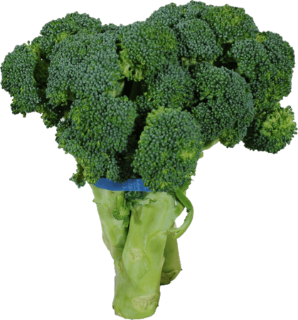 Kroger - Organic - Broccoli, 1 lb