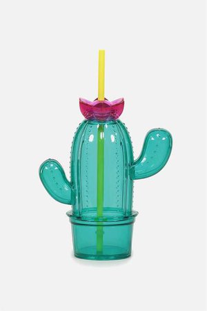 Cactus Drink Bottle
