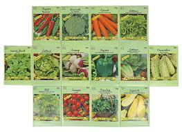 vegetable seeds pinterest - Google Search