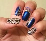 Leopard & blue
