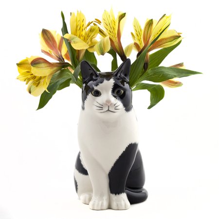 cat vase - Google Search