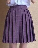 purple plaid skirt