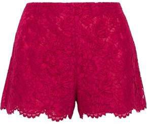 Scalloped Cotton-blend Corded Lace Shorts