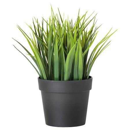 FEJKA in/outdoor grass, Artificial potted plant, Height: 21 cm - IKEA