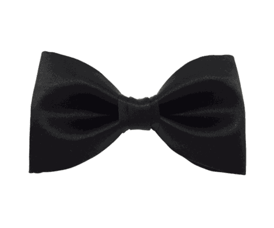 Classic Black Bow Tie transparent PNG - StickPNG