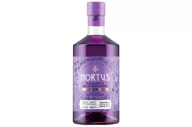 Lidl is selling a violet and blackberry infused gin | The Sun