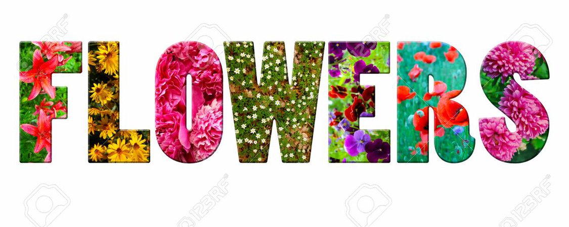 flowers word - Google Search