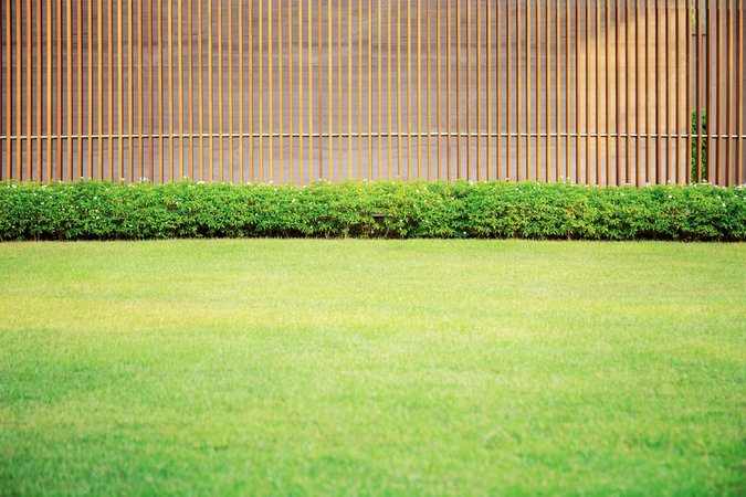Premium Photo | Lawn in garden.