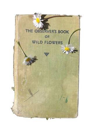 Wild flowers book