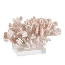 coral decor - Google Search