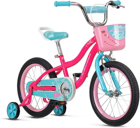 Amazon.com: Schwinn Koen & Elm Toddler and Kids Bike, For Girls and Boys, 16-Inch Wheels, BMX Style, With Saddle Handle, Training Wheels Included, Chain Guard, and Front Basket, Teal : Everything Else