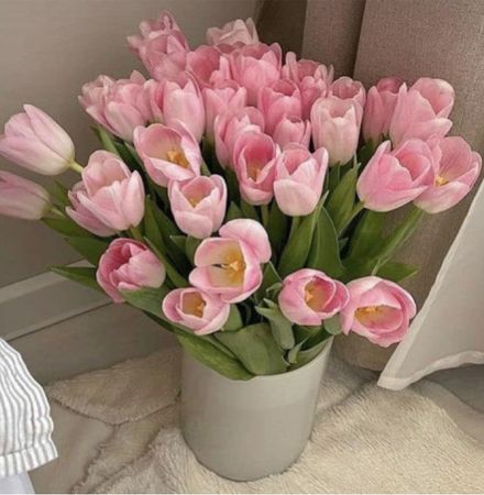 pretty pink tulips