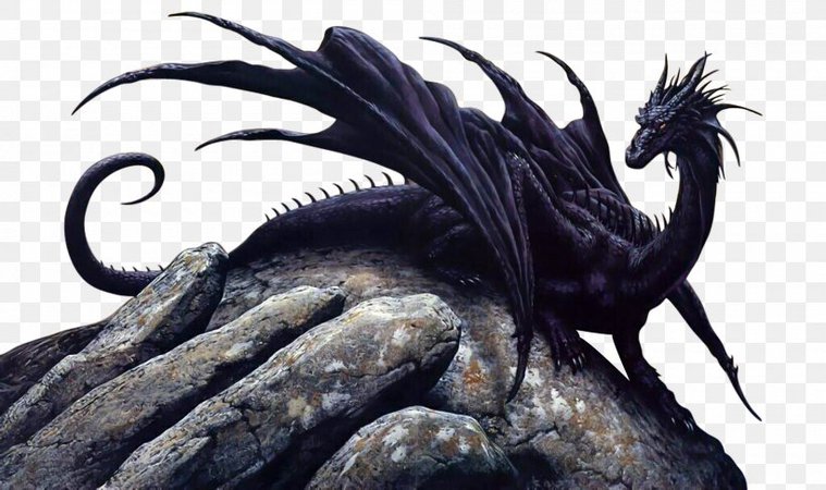 black dragon - Google Search