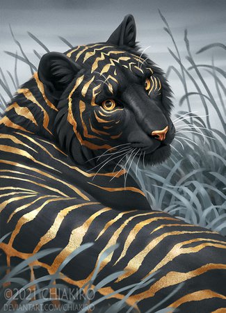 tiger | Tumblr