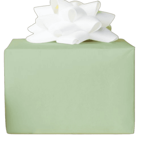 solid sage green natural minimalist wrapping paper