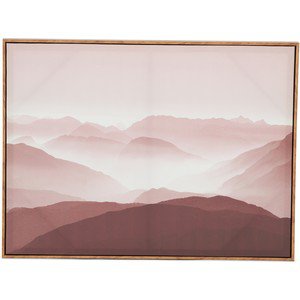Design House 60 x 90 cm Framed Print Canvas - Pink Lady | BIG W