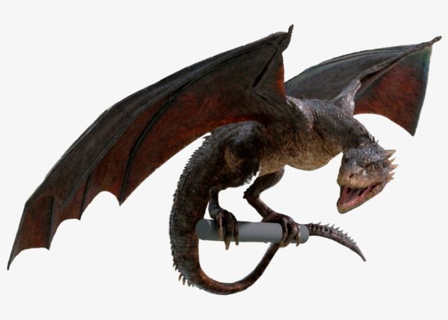 got dragon png - Google Search