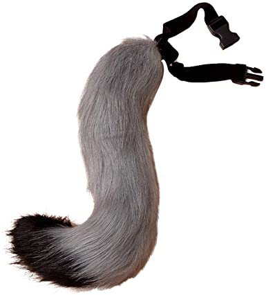 wolf tail - Google Search