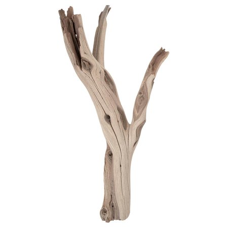 Driftwood Branch Decor | Shop Now For Free Shipping