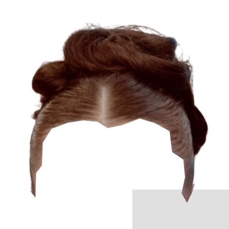 red brown hair slicked back high elaborate bun updo hairstyle