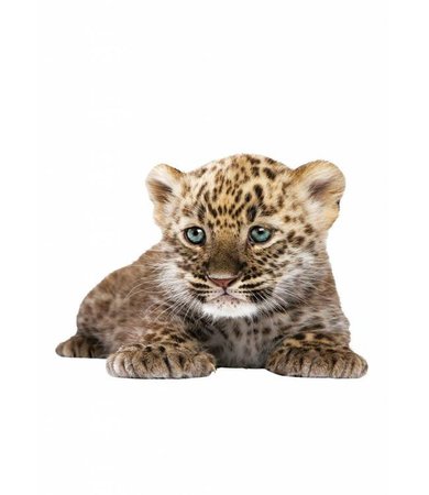 Wall sticker Leopard Cub, 23 x 18 cm - KEK Amsterdam