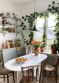 Aesthetic Green Kitchen