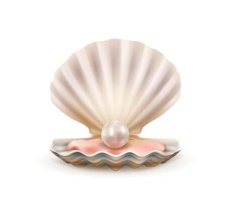 Seashell With Pearl Realistic 3d Vector Of Sea And Ocean Treasure.. Royalty Free Cliparts, Vectors, And Stock Illustration. Image 132765556.