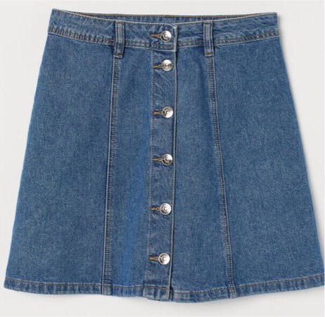H&M Aline skirt blue