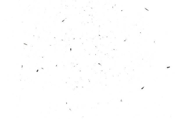 eraser-scrap-on-white-background.jpg (612×410)