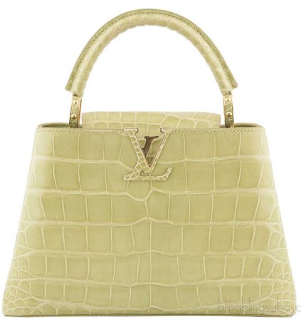 Louis Vuitton croco olive green bag
