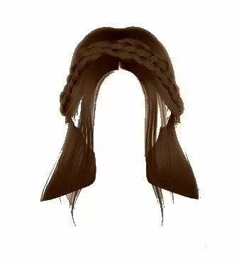 Brown Braid Wreath Half Updo Hair (HVST Edit)
