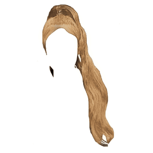 blonde hair png ponytail
