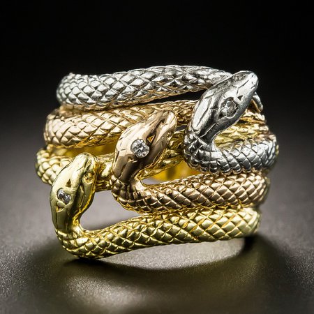 three headed snake wedding ring - Google Search