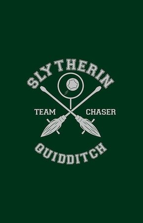 slytherin quidditch aesthetic - Google Search