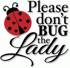 Pinterest - Ladybug