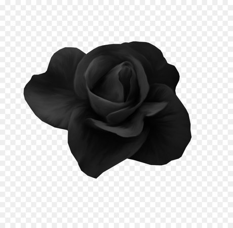 black flower