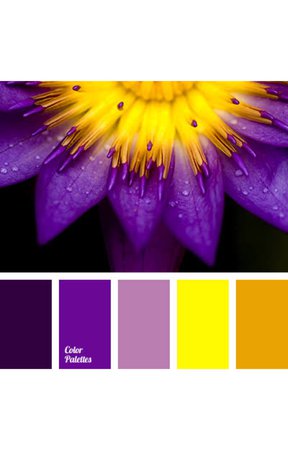Palette purple to yellow