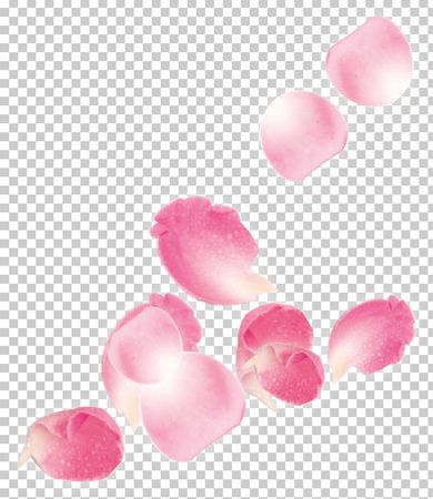 pink-rose-petals-clipart-9.jpg (728×841)