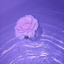 aesthetic purple daydreaming - Google Search